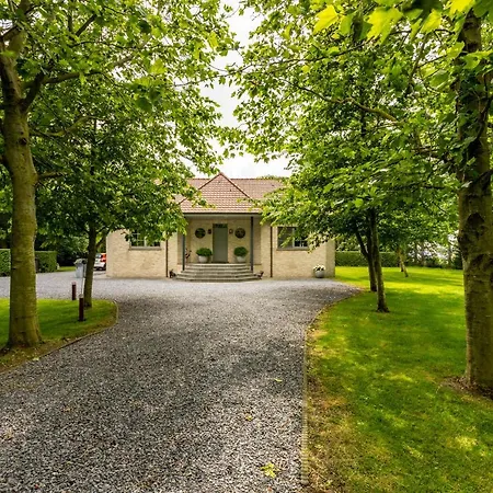 De Rietreiger Bed and breakfast