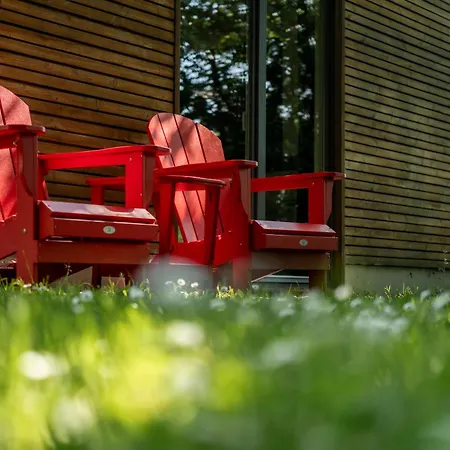 De Rietreiger Blankenberge