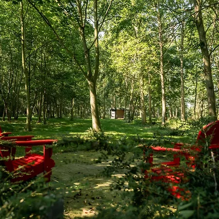 De Rietreiger Blankenberge