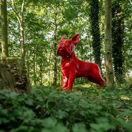 De Rietreiger Bed & Breakfast Blankenberge