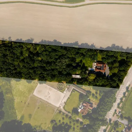 De Rietreiger Blankenberge