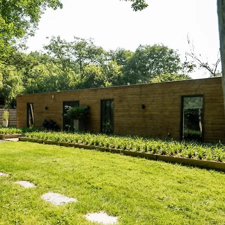 De Rietreiger Bed & Breakfast