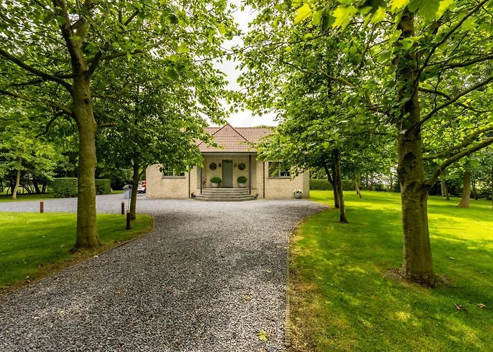 De Rietreiger Bed & Breakfast