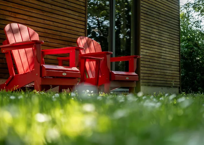 De Rietreiger בלנקנברג