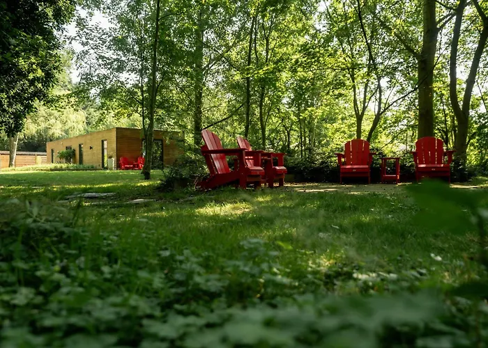 De Rietreiger Bed & Breakfast 3*