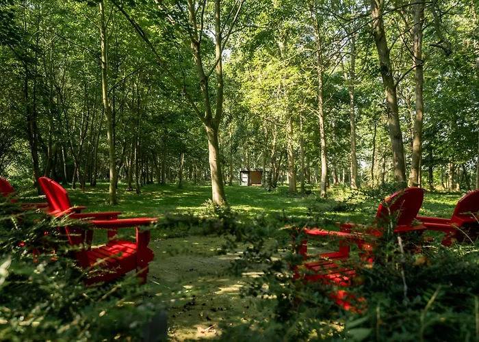 De Rietreiger בלנקנברג