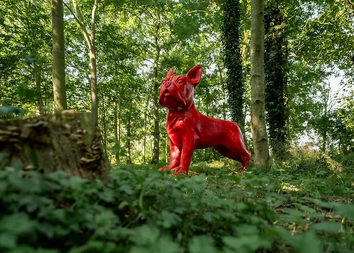 De Rietreiger Bed & Breakfast Blankenberge