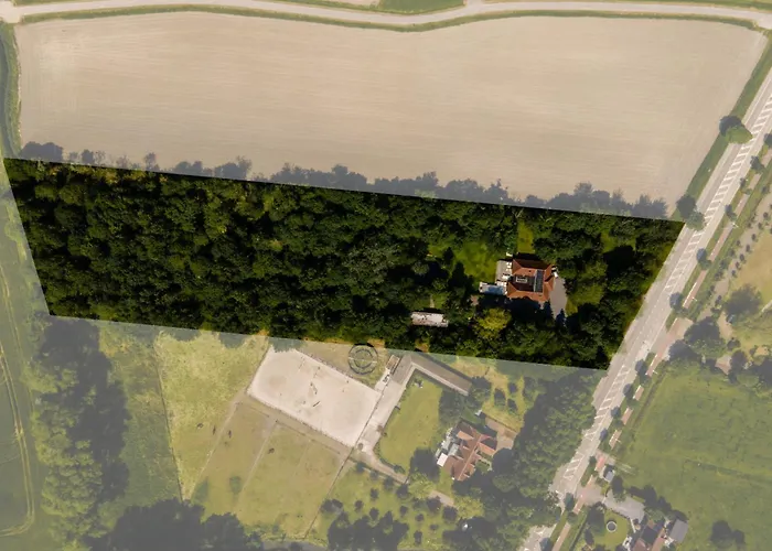 De Rietreiger Blankenberge