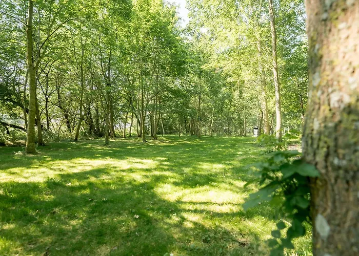 De Rietreiger בלנקנברג