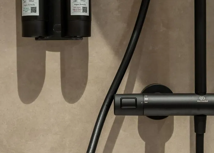 De Rietreiger 3* בלנקנברג